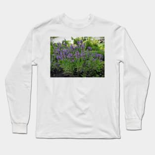 Flowering Sage Long Sleeve T-Shirt